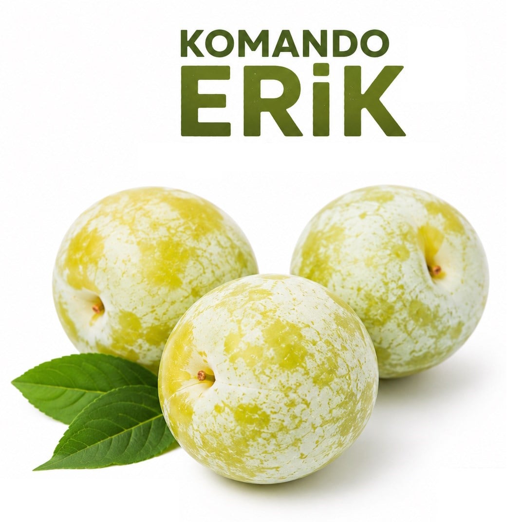 ERIK KOMANDO ERIK * KG