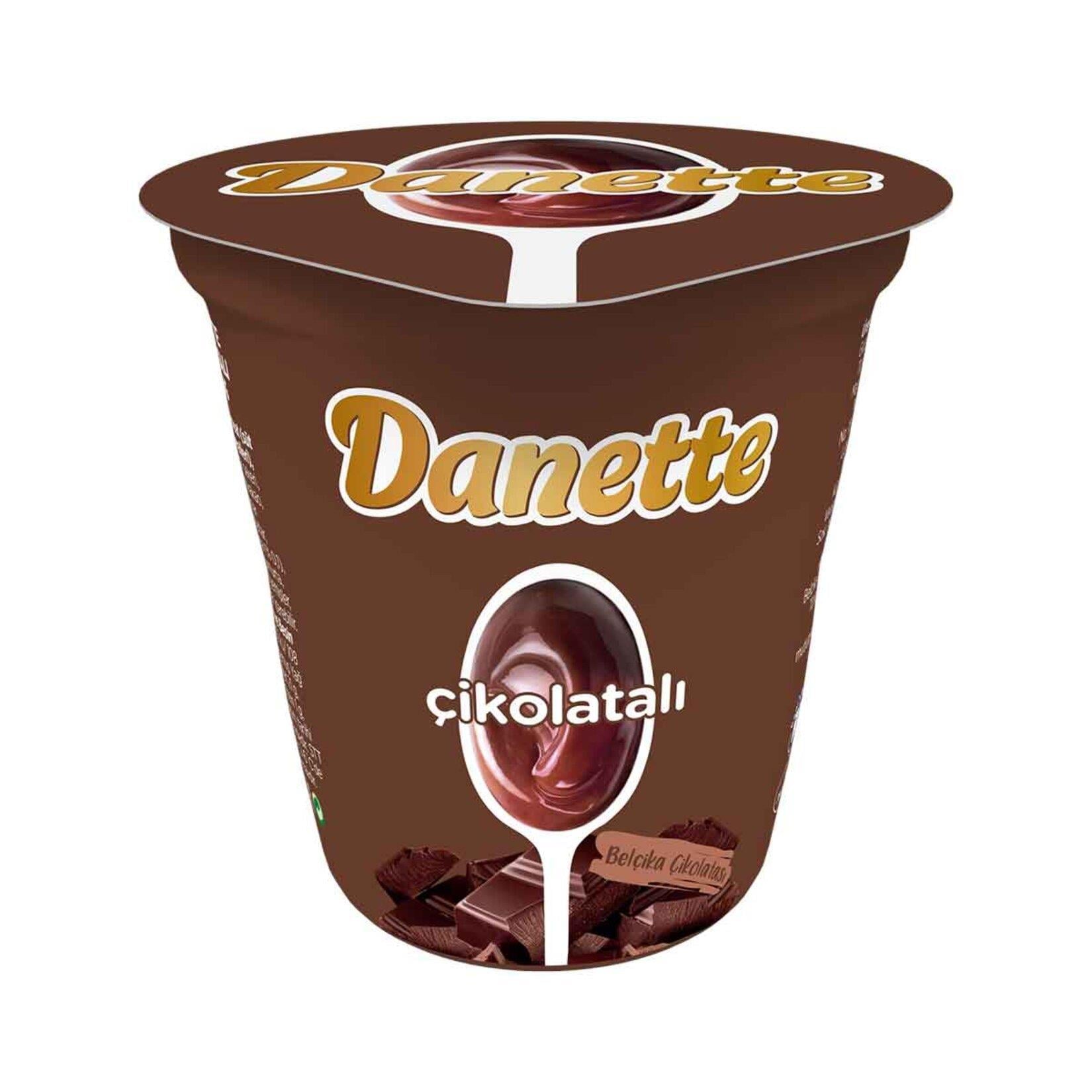 DANONE DANETTE 375GR ÇIKOLATALI AILE BOY