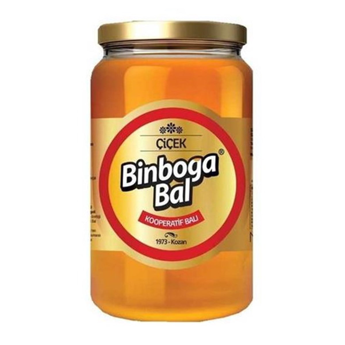 BINBOGA ÇIÇEK BALI 850+240 GR 