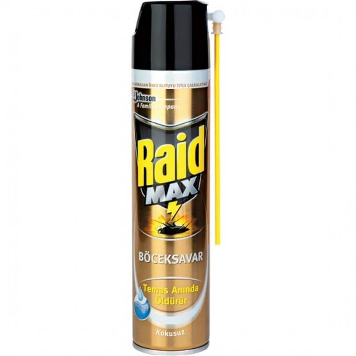 RAID BÖCEKSAVAR MAX SPRY 300 ML