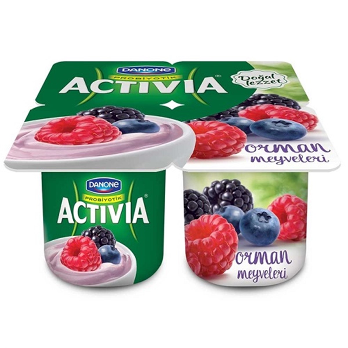 DANONE ACTIVIA 4X110GR ORMAN MEYVELI KL 1*6