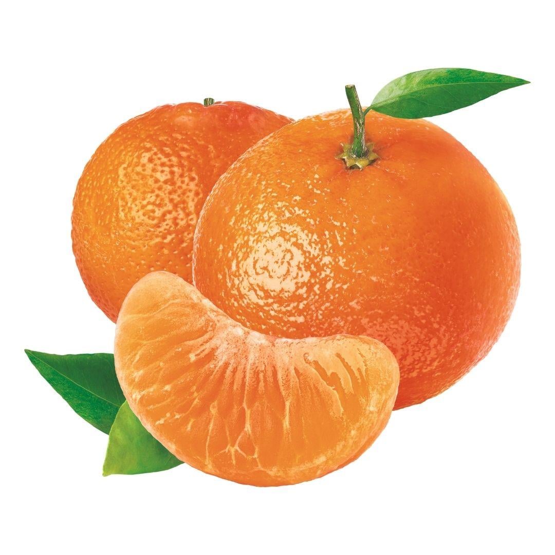 MANDALINA MURKOT IRI 