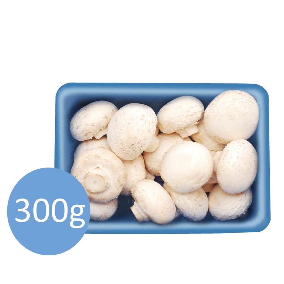 MANTAR GUMUSHANE IPEKYOLU KULTUR MANTARI 300 GR