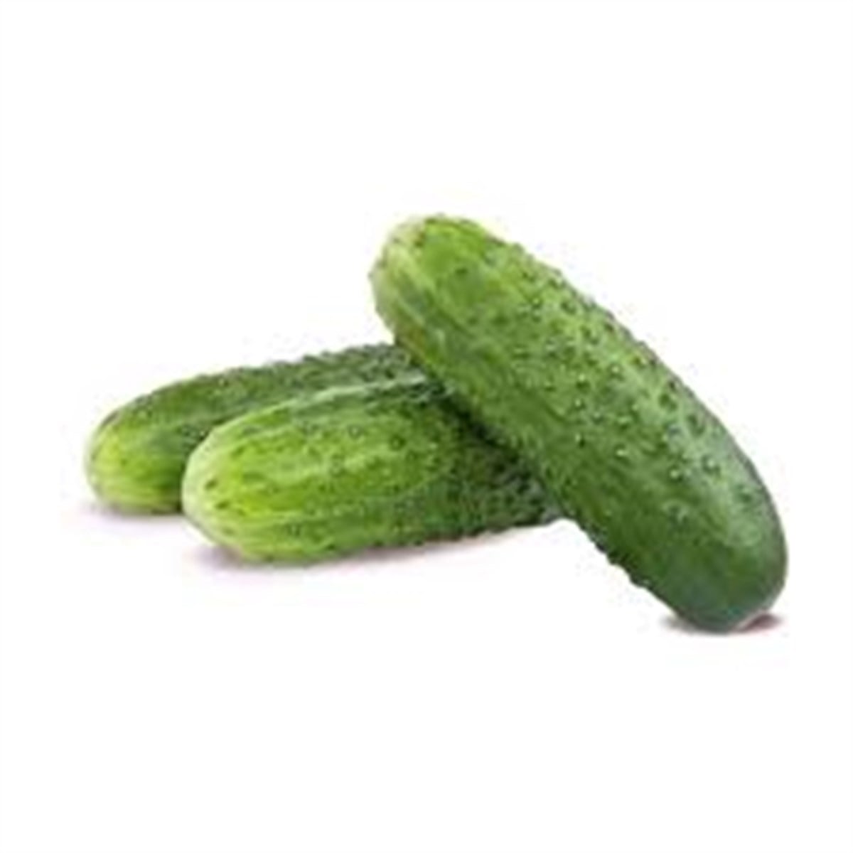 SALATALIK DIKEN