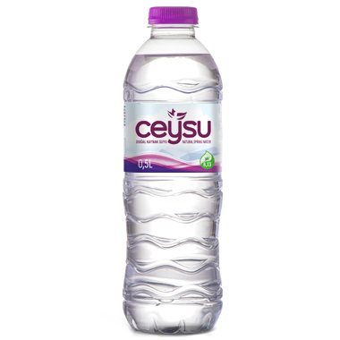 Ceysu Su 500ml Doğal Kaynak Suyu