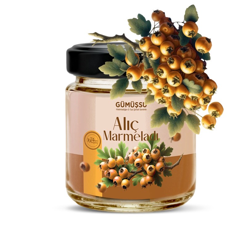 GUMUSSU 250 GR ALIC MARMELAT *12