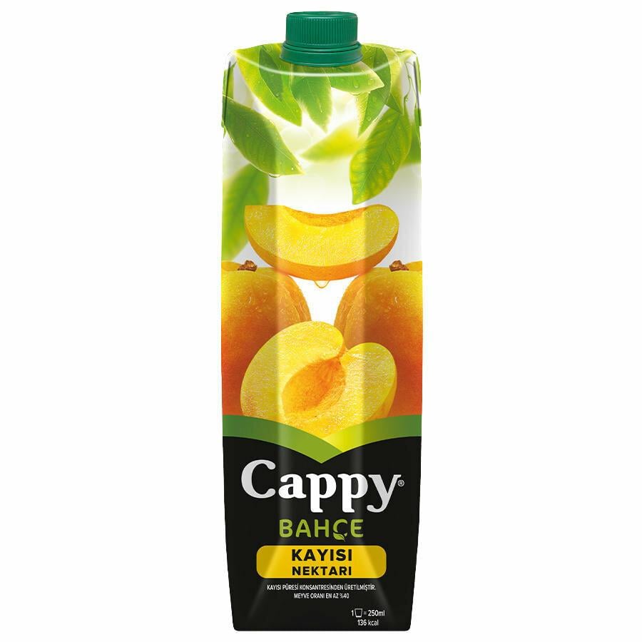CAPPY 1LT NEKTARI BAHÇE KAYISI