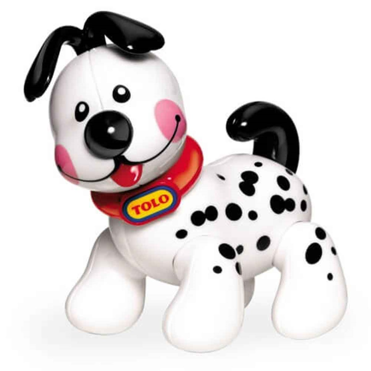 Claki Piccolo Puppy / Arkadaşım Köpek