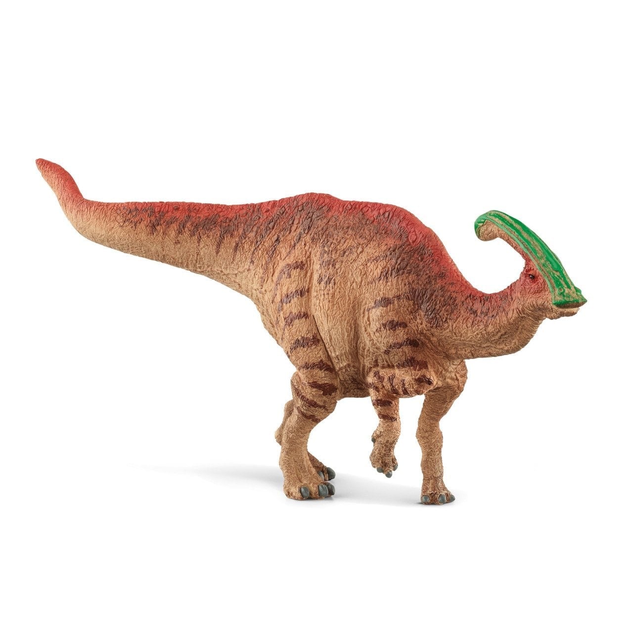 Schleigh Parazorolopus
