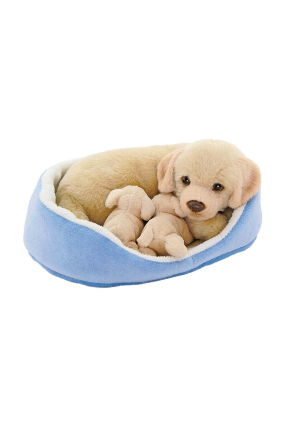 SEPETTE YAVRULU LABRADOR