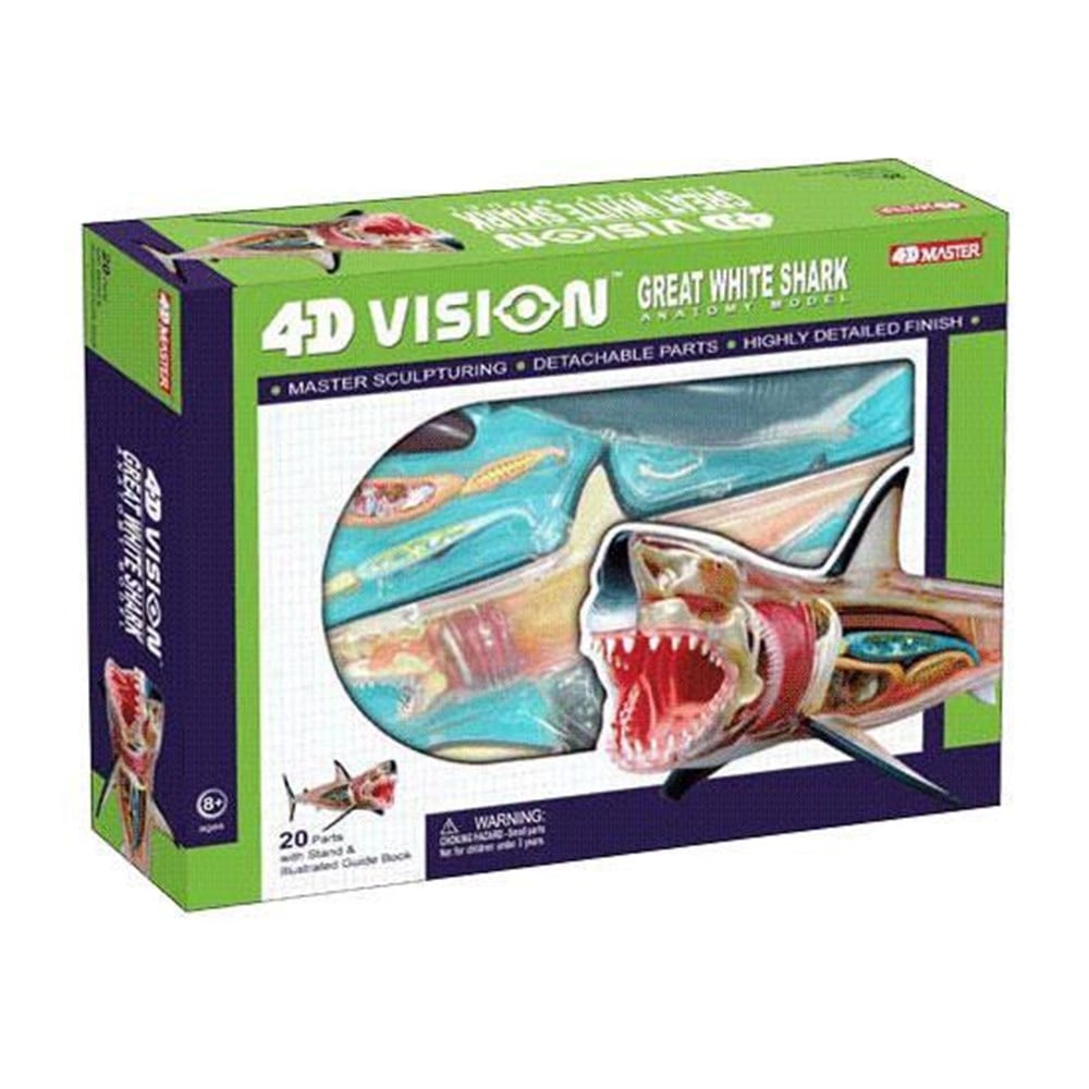 4D Vision Great White Shark Anatomy ModelTüm ÜrünlerOskar