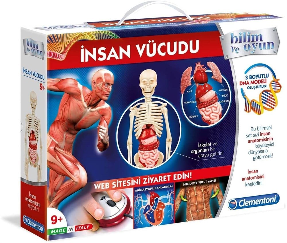 İnsan Vücudu