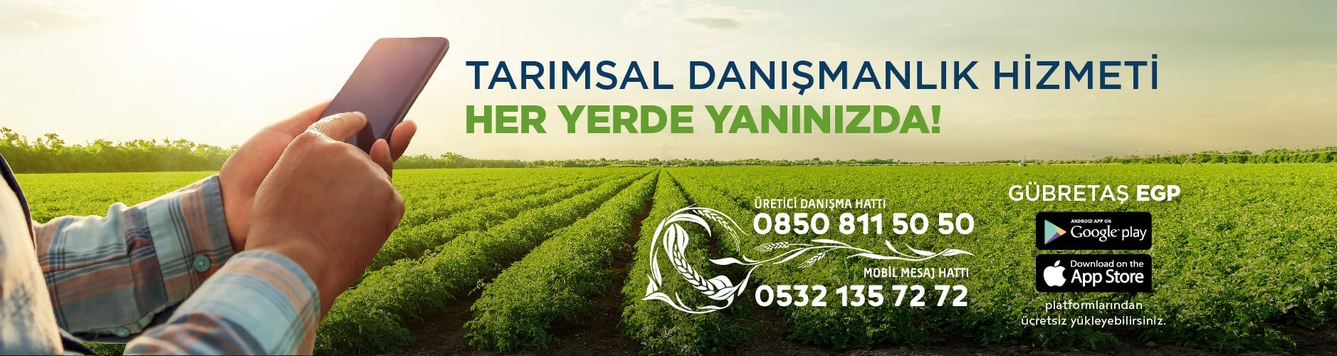 Danışma Hatları-Yeni