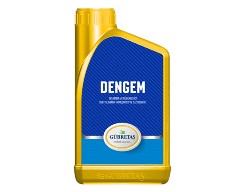 DENGEM - 1 (Lt)