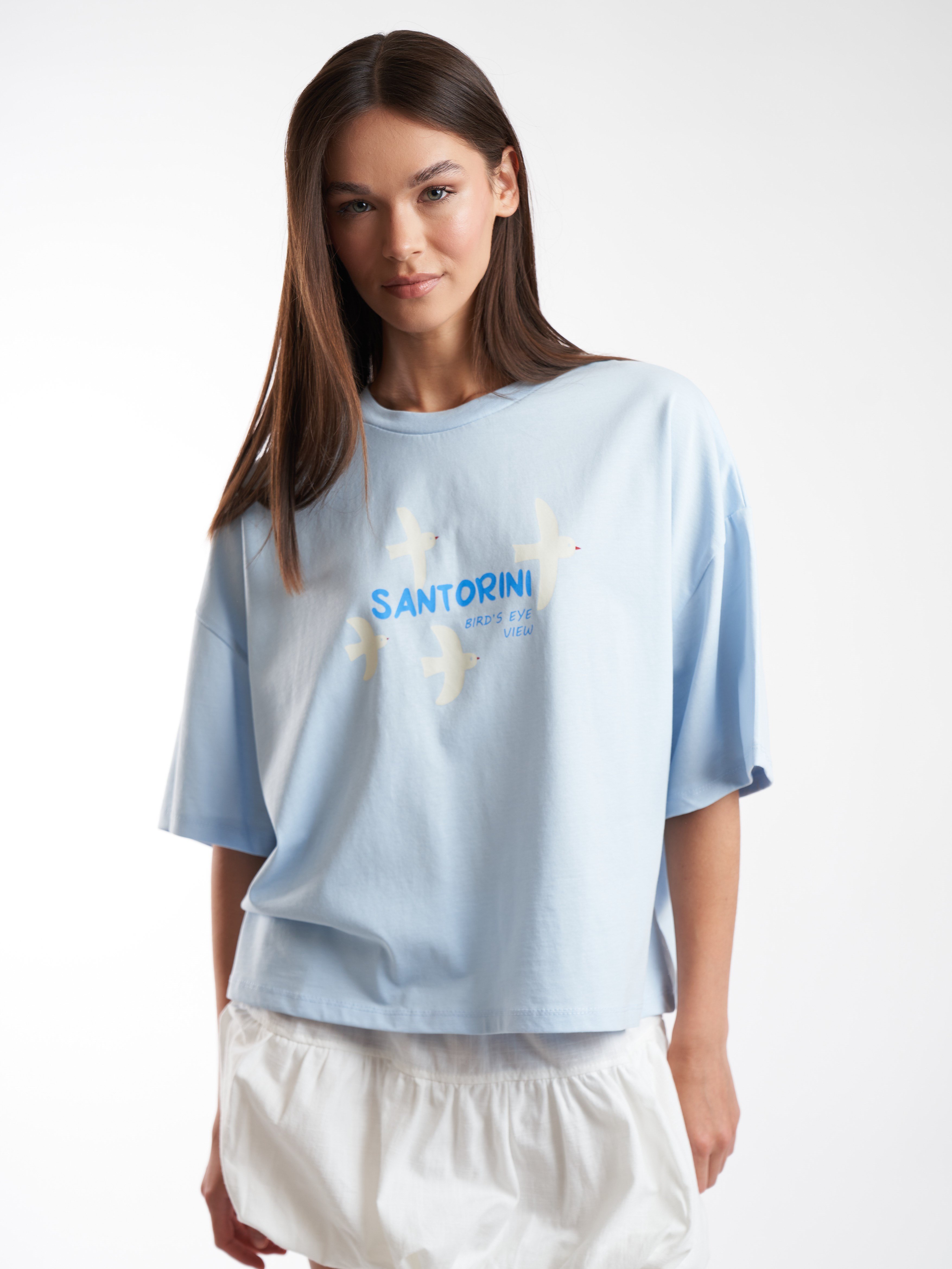 Baskılı Kısa Kol T-shirt Mavi