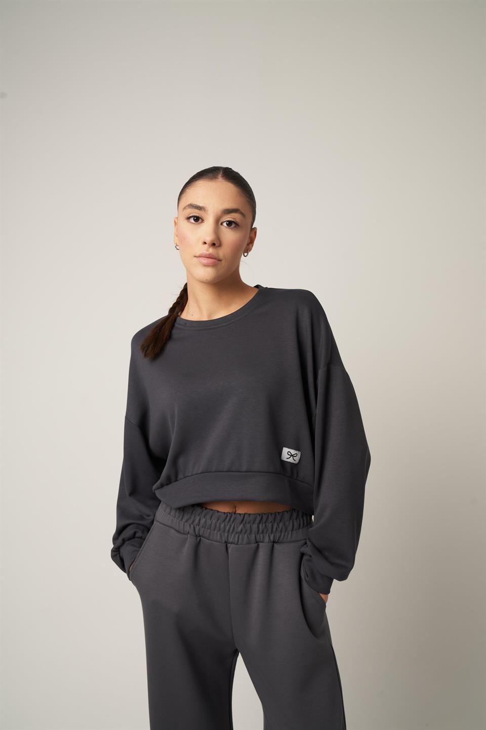 Etiket Detaylı Kısa Sweashirt Antrasit