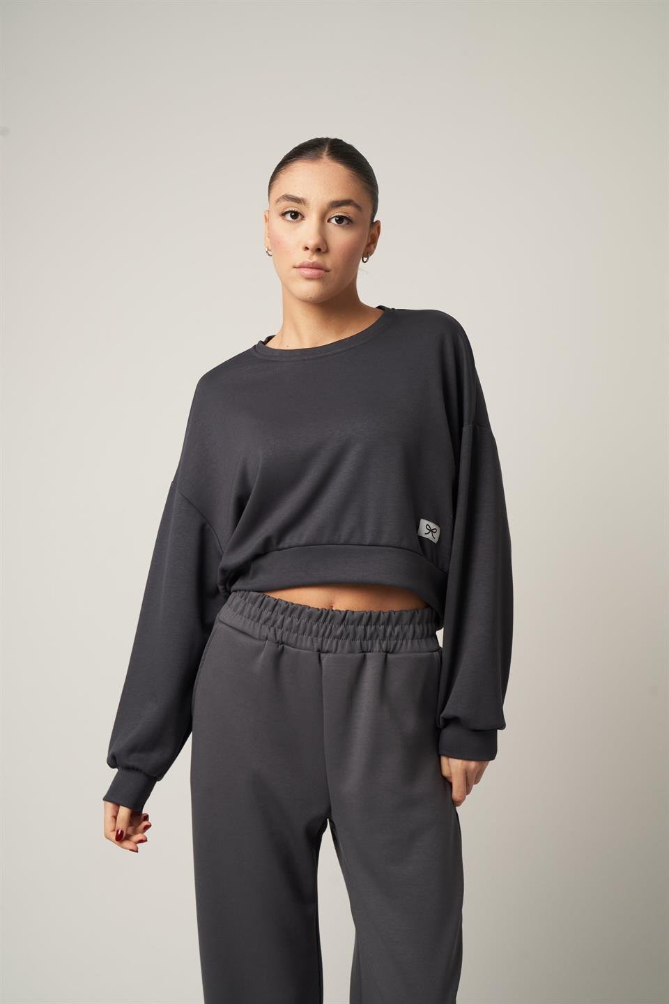 Etiket Detaylı Kısa Sweashirt Antrasit