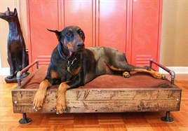 Tena Dekor Kedi veya Köpek Yatağı