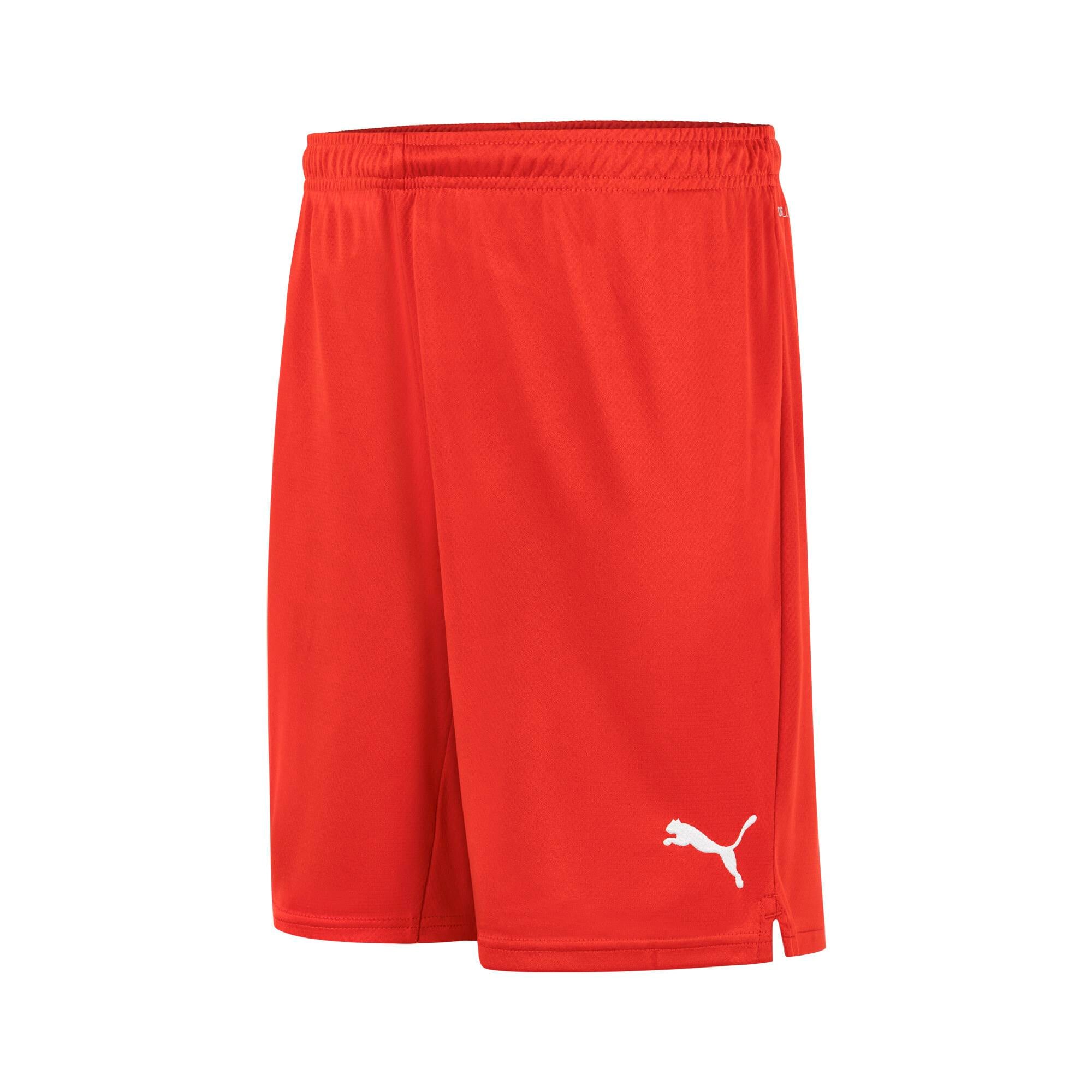 Puma Smu Turkey Şort 773517-01