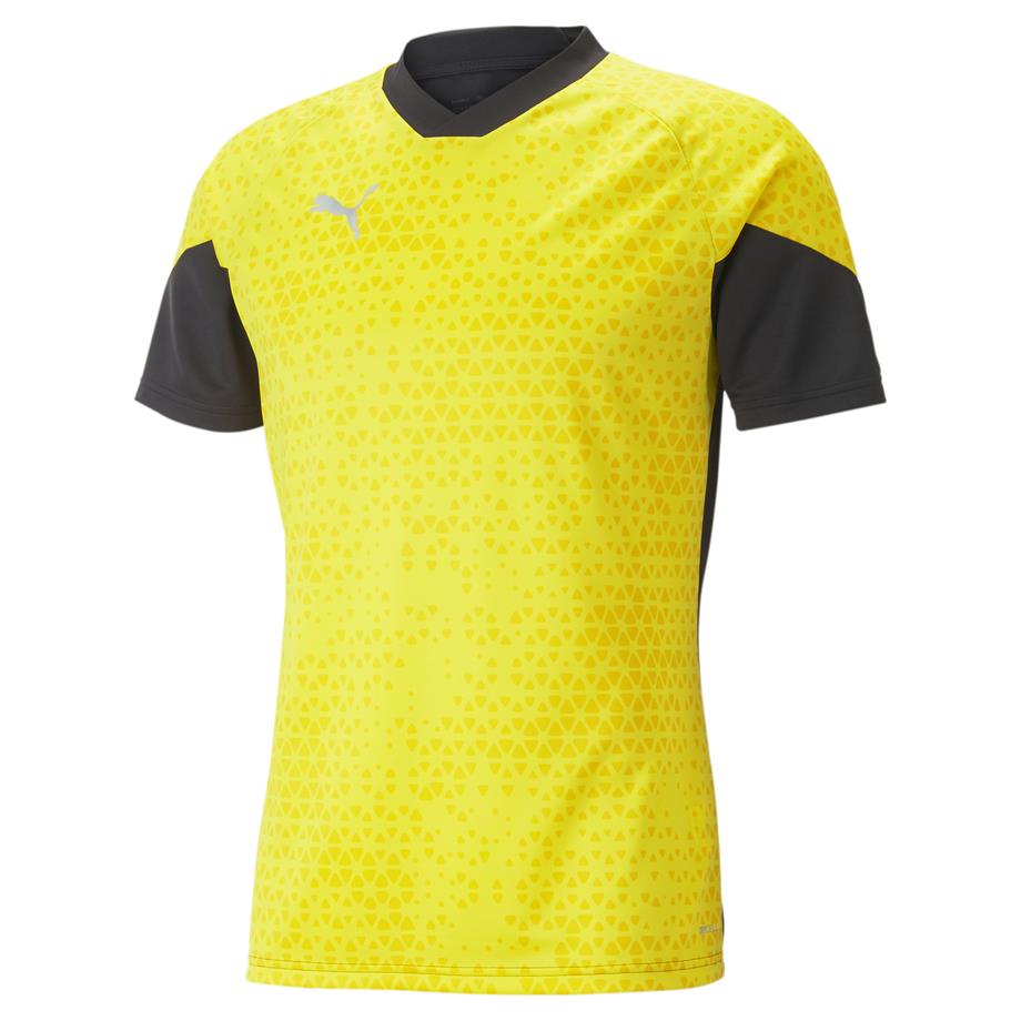 Puma TeamCup 23 Antrenman Tişört 657984-19