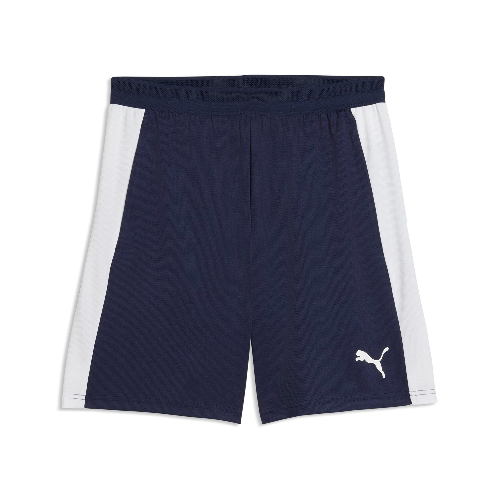 Puma TeamFINAL26 Kamp Cepli Şort 659685-06