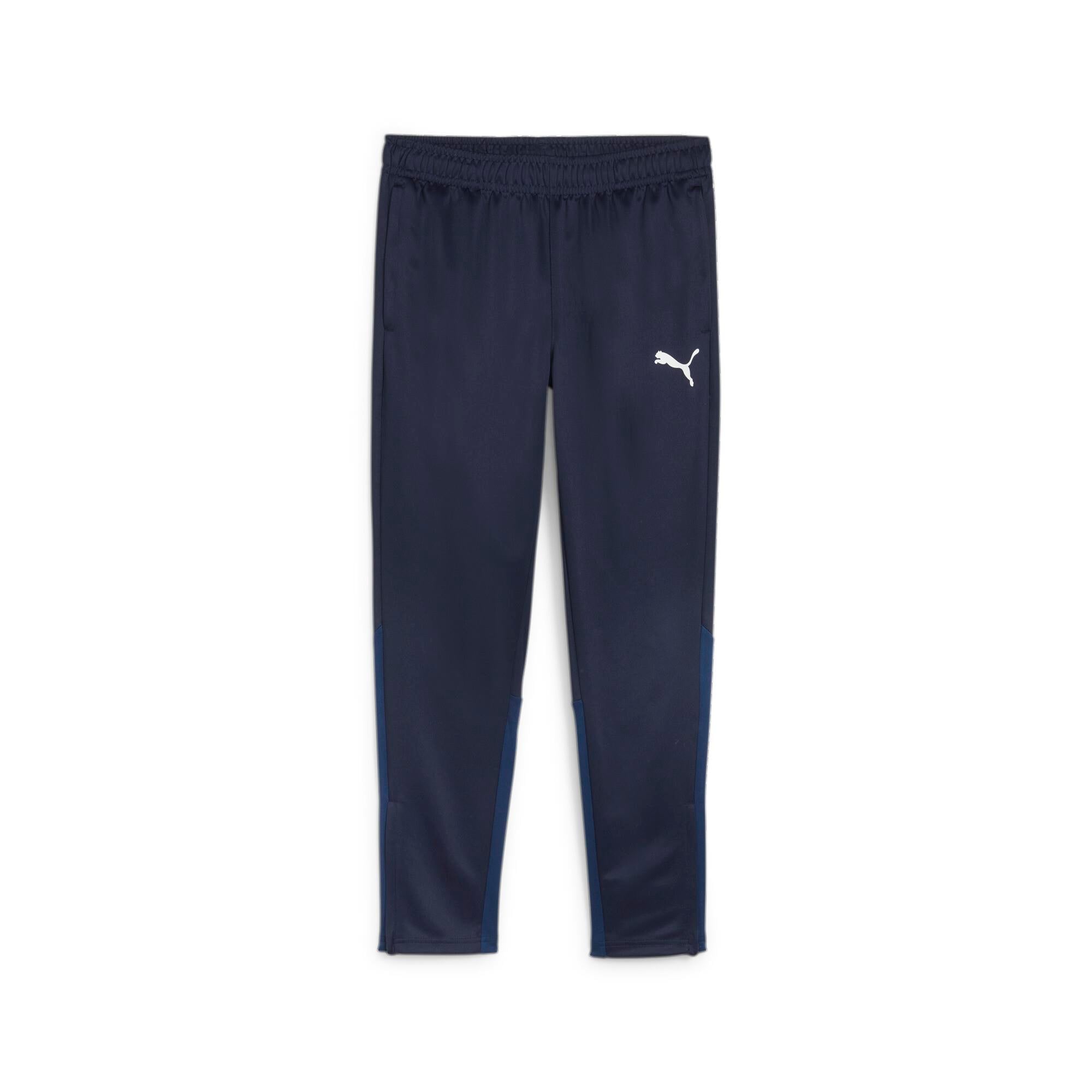 Puma TeamGoal 24 Eşofman Tek Alt 658639-06