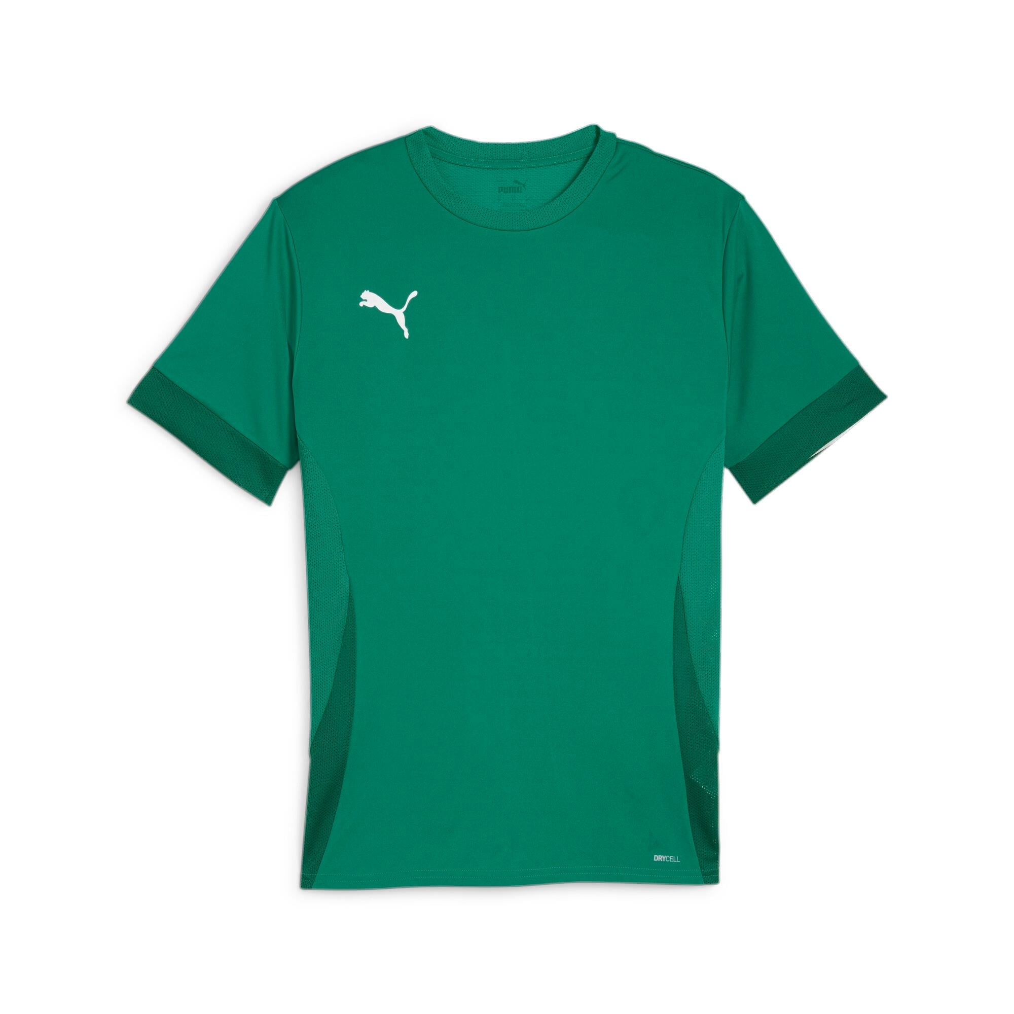 Puma teamGoal 24 Futbol Maç Forma 705747-05