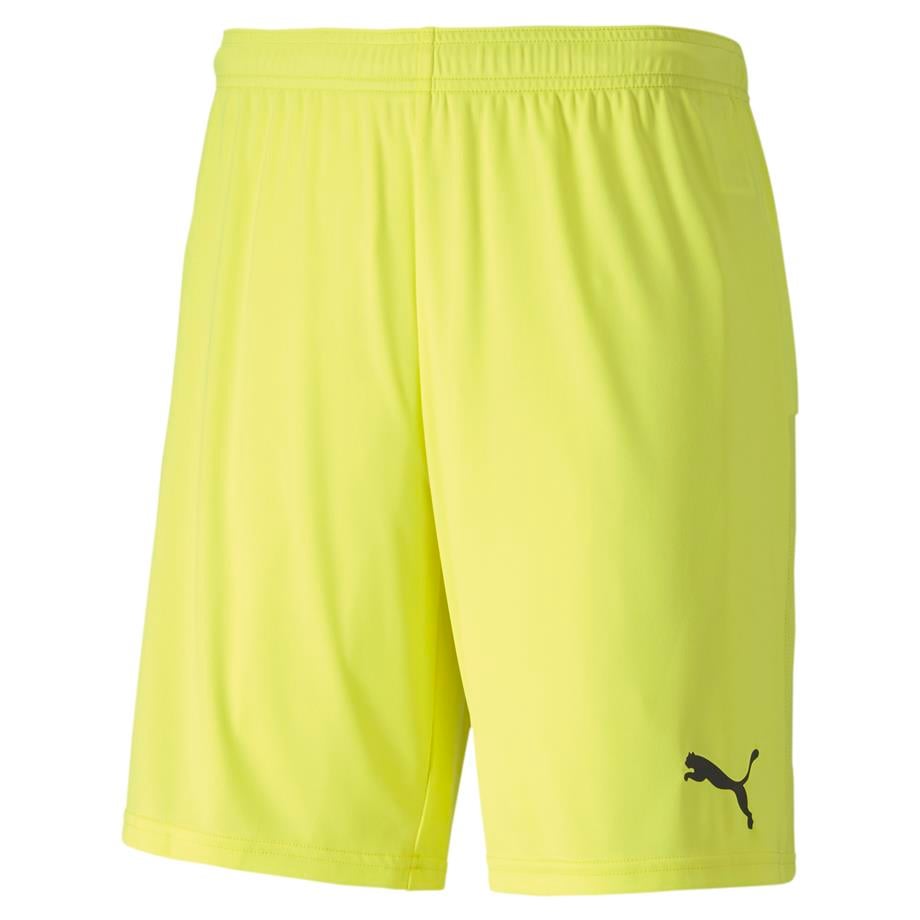 Puma TeamGoal23 Futbol Şort 704262-23