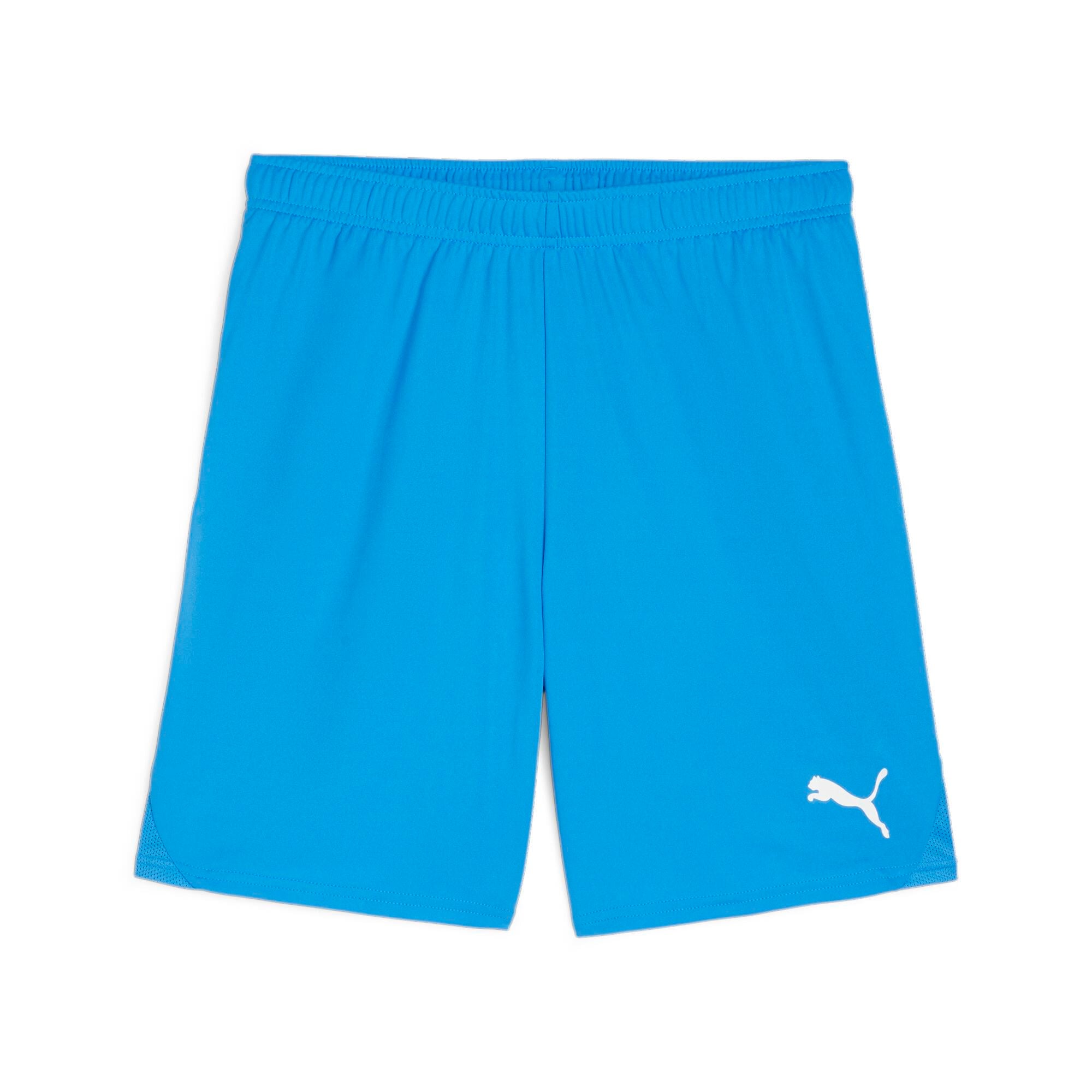 Puma TeamGoal24 Futbol Şort 705752-02