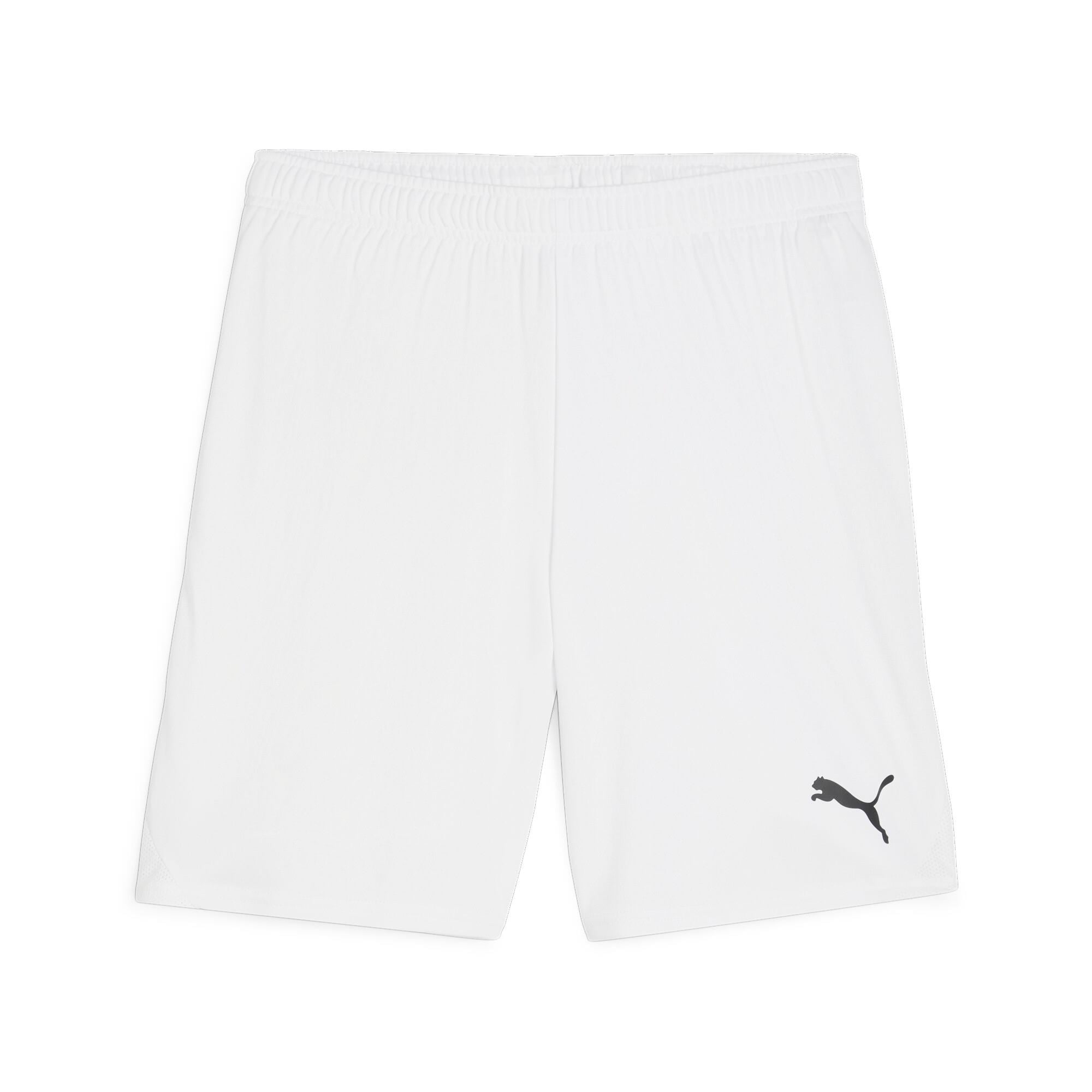 Puma TeamGoal24 Futbol Şort 705752-04