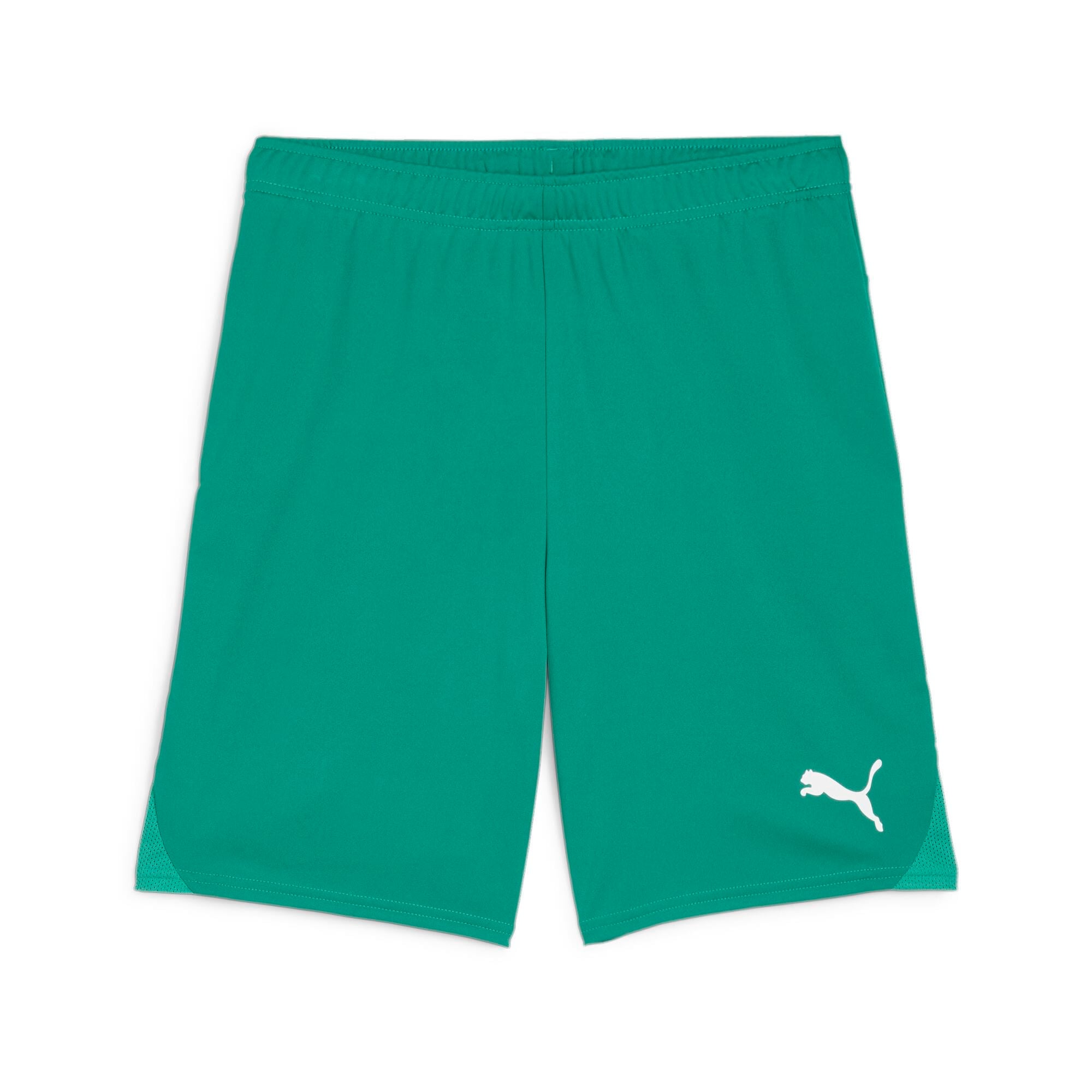 Puma TeamGoal24 Futbol Şort 705752-05