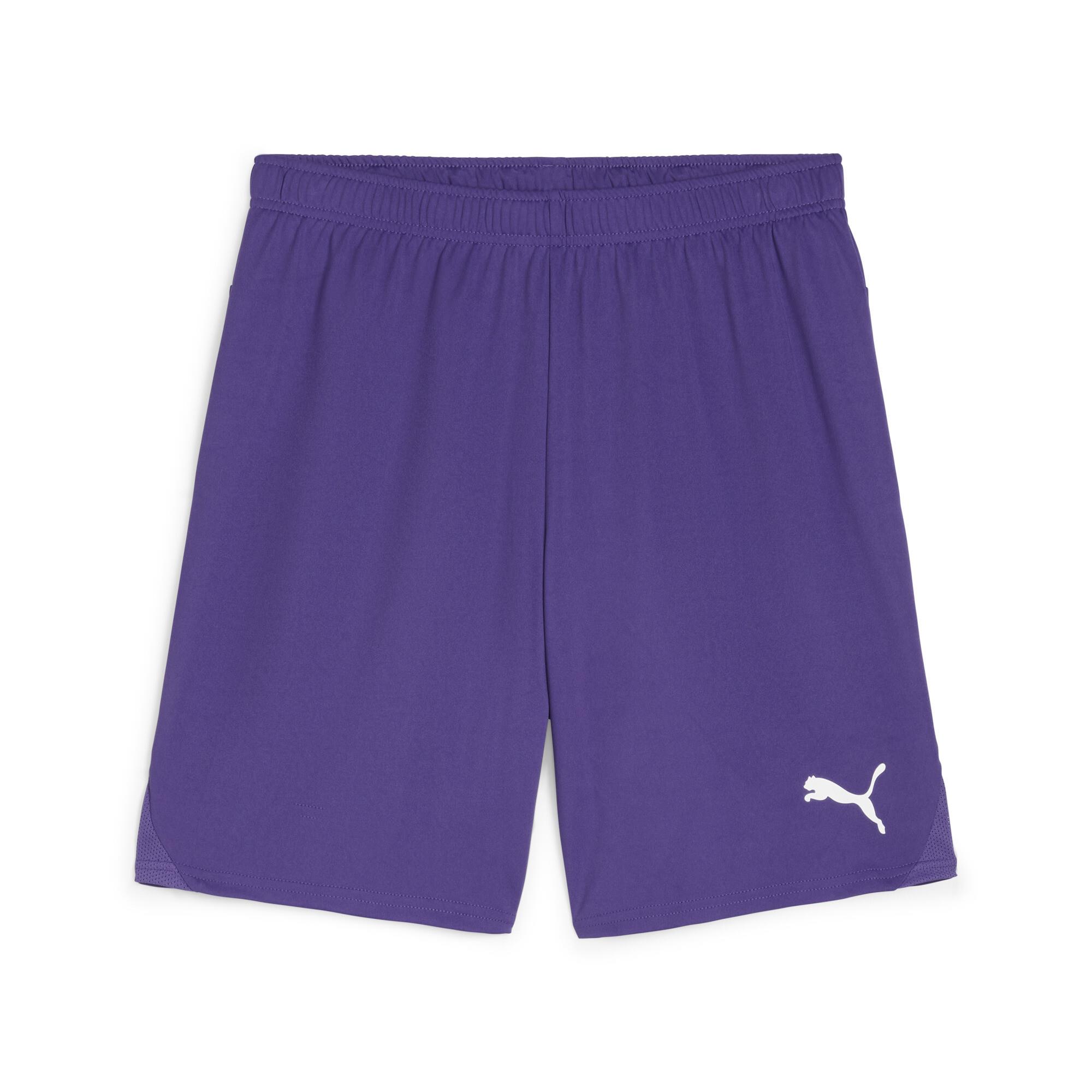 Puma TeamGoal24 Futbol Şort 705752-10