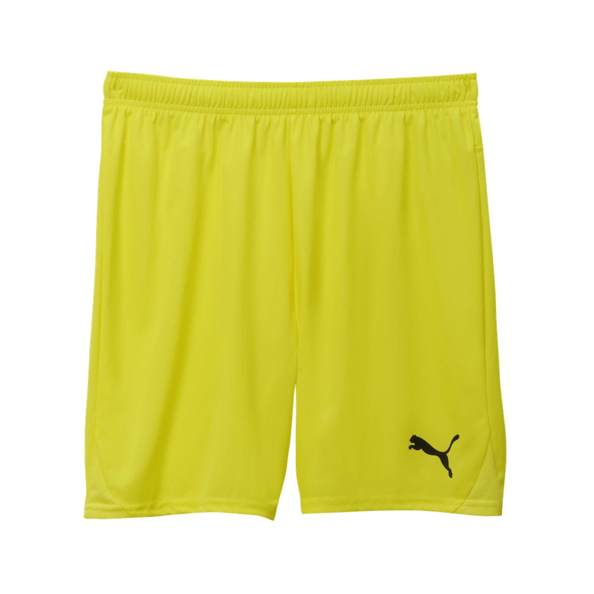 Puma TeamGoal24 Futbol Şort 705752-23