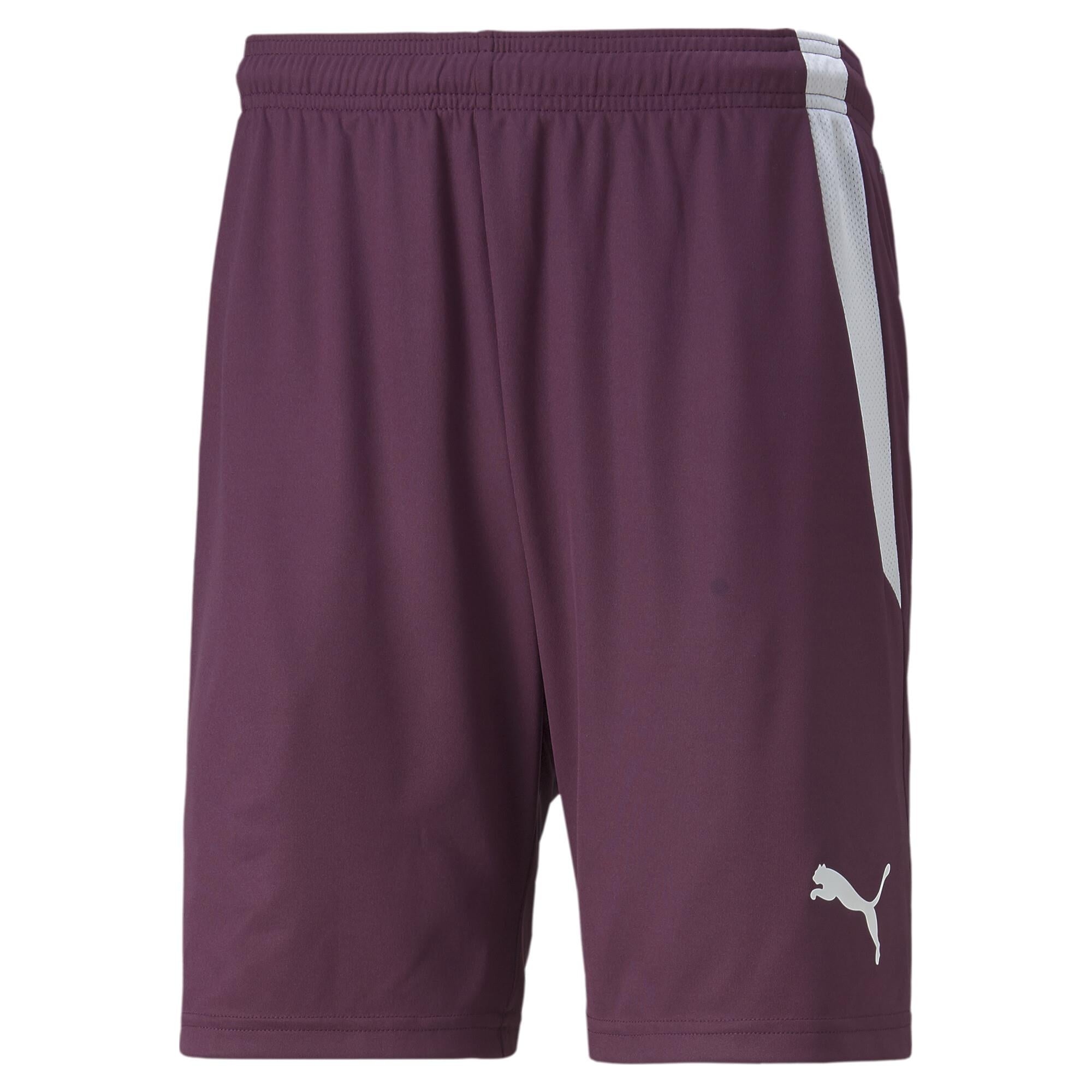 Puma TeamLiga Şort 704924-24 