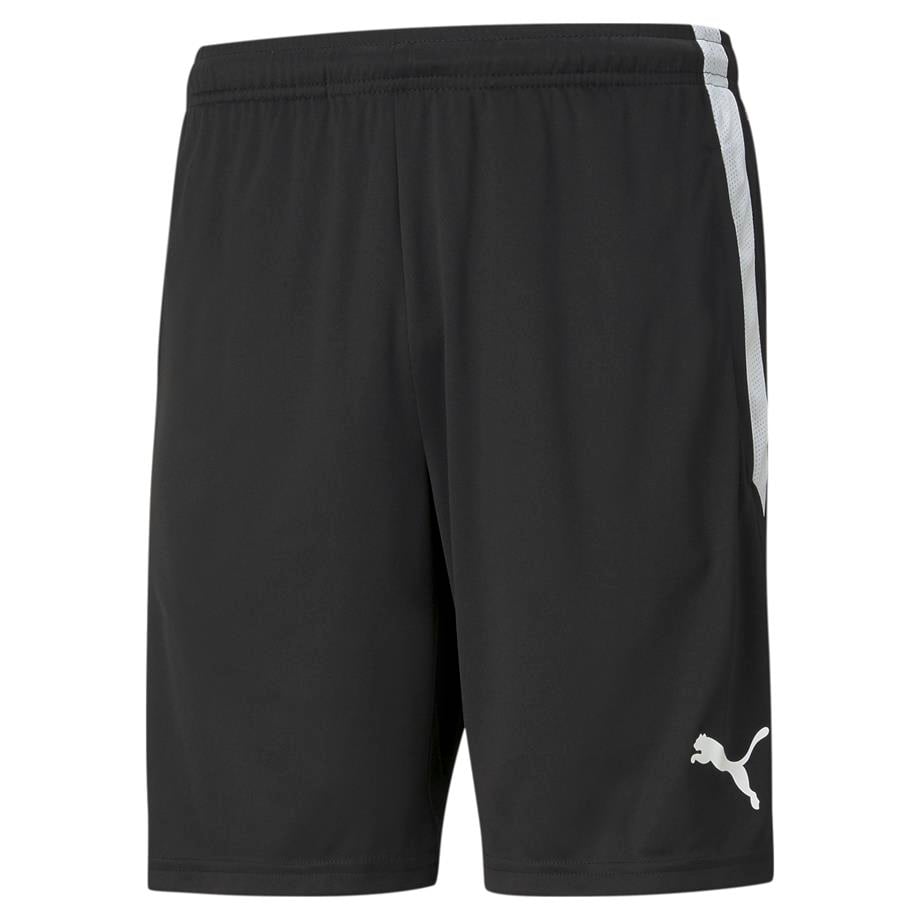 Puma TeamLiga25 Kamp Şort 657249-03