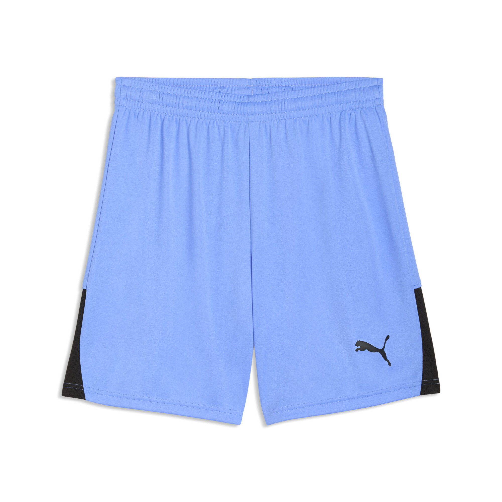 Puma teamLIGA26 Kaleci Şort 706554-31