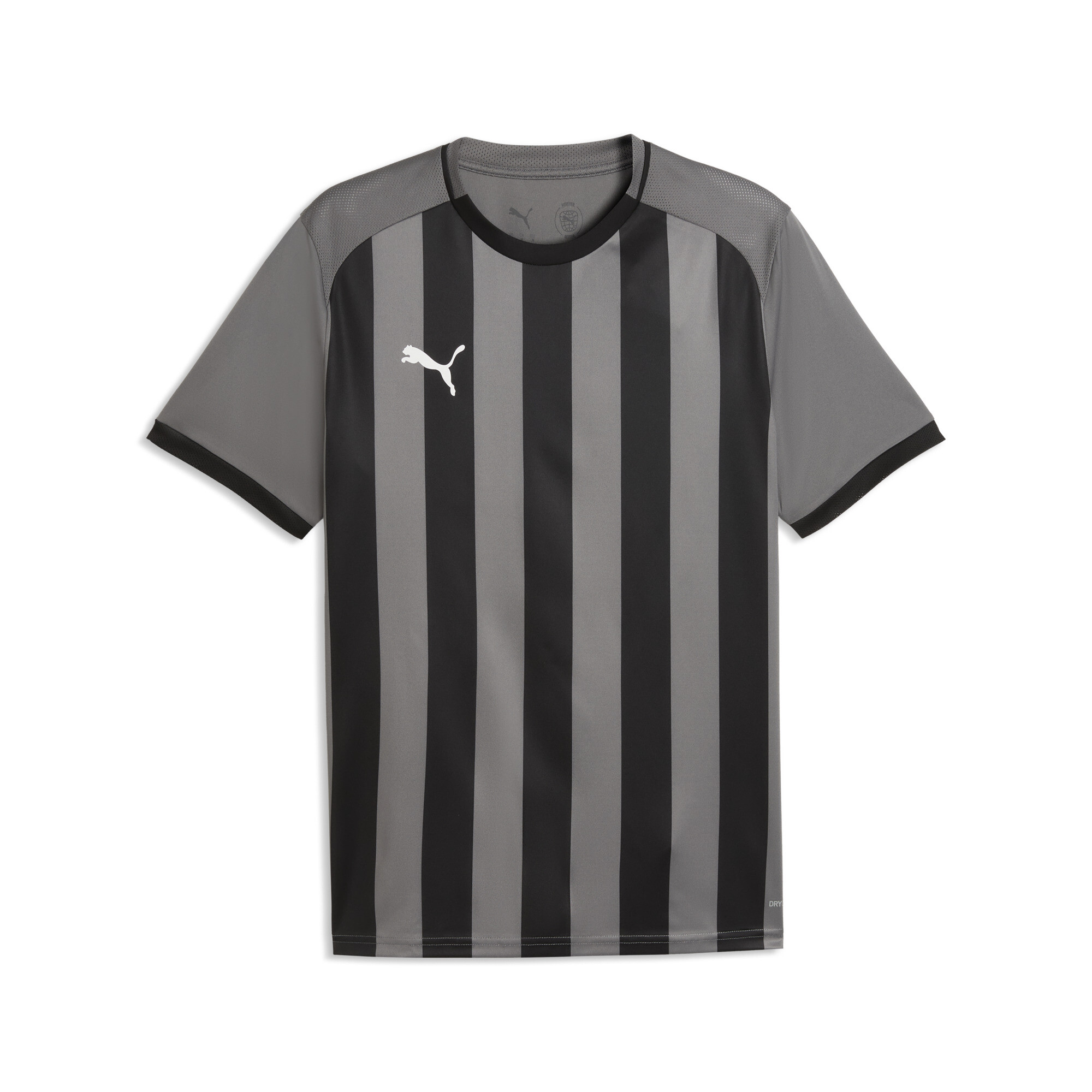 Puma TeamLIGA26 Striped Forma 706550-13