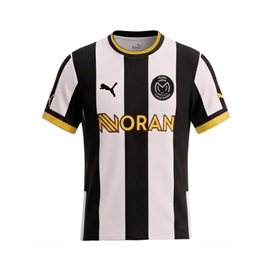 Puma Manisa FK 26/27 Maç Forması Çubuklu 773498-04