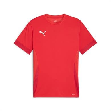 Puma teamGoal 24 Futbol Maç Forma 705747-01