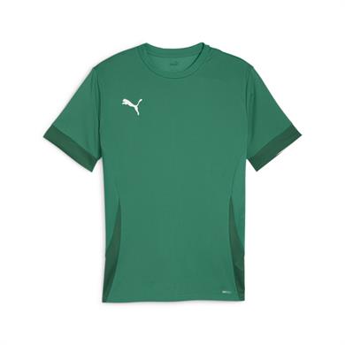 Puma teamGoal 24 Futbol Maç Forma 705747-05