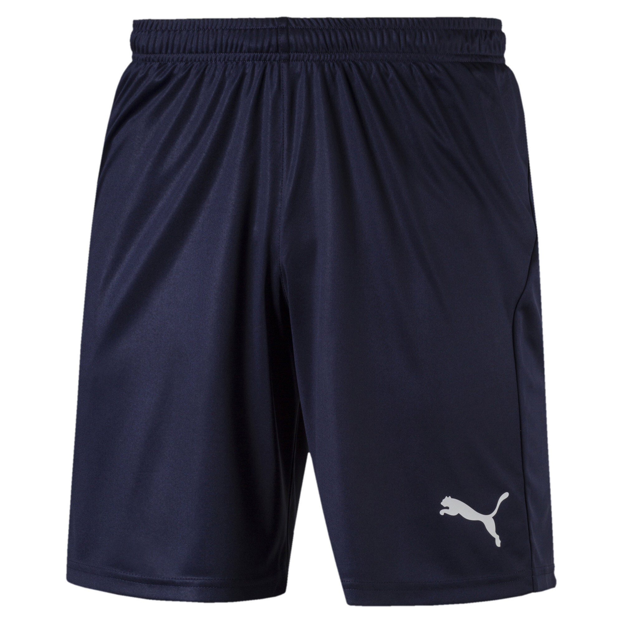 Puma Liga Maç Şort 703615-06