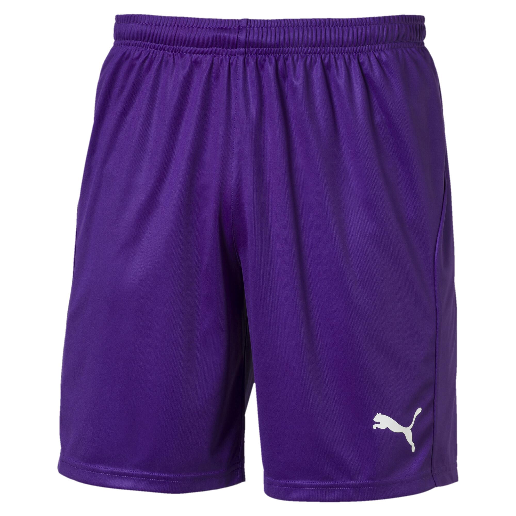 Puma Liga Maç Şort 703615-10