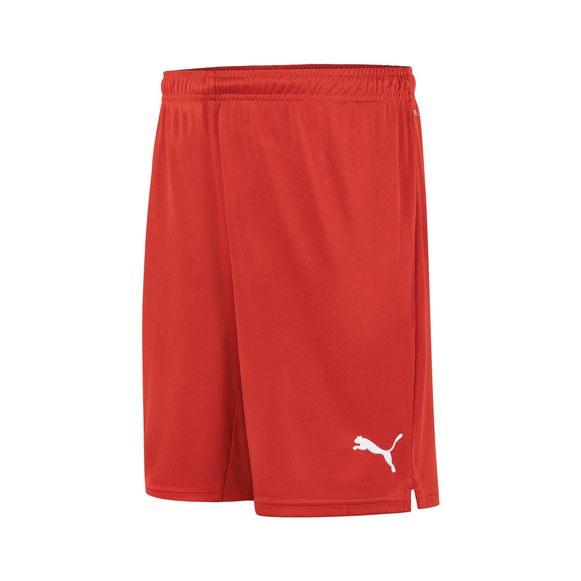 Puma Smu Turkey Şort 773517-01