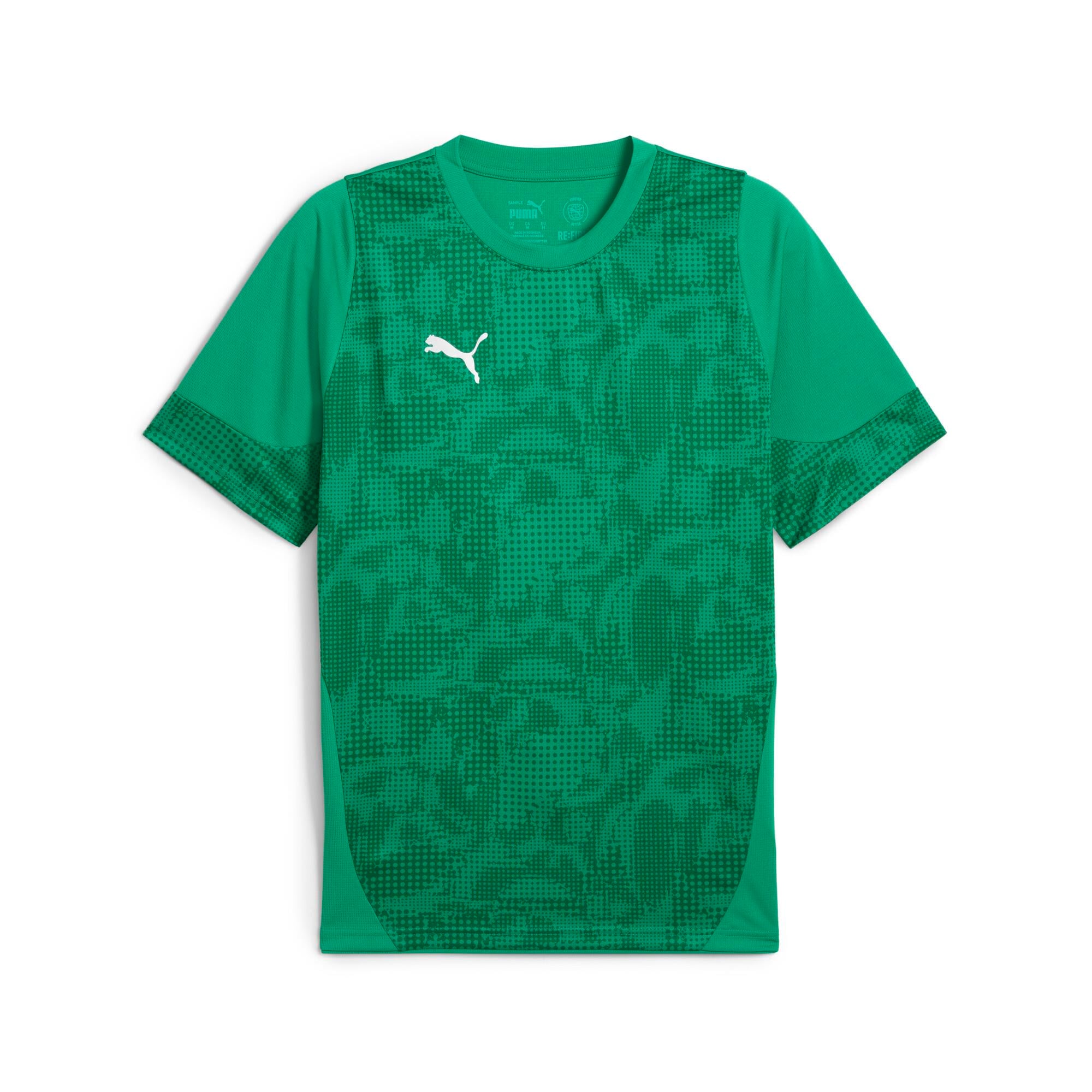 Puma teamCUP 25  Antrenman Tişört 659167-05
