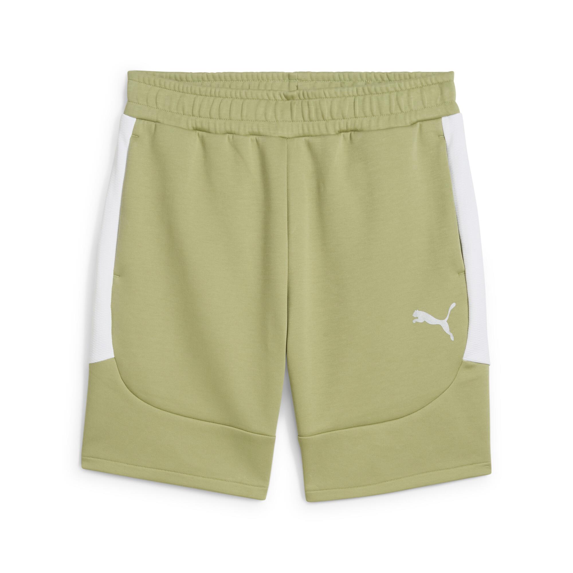 Puma teamEVOSTRIPE Casual Şort 659951-40