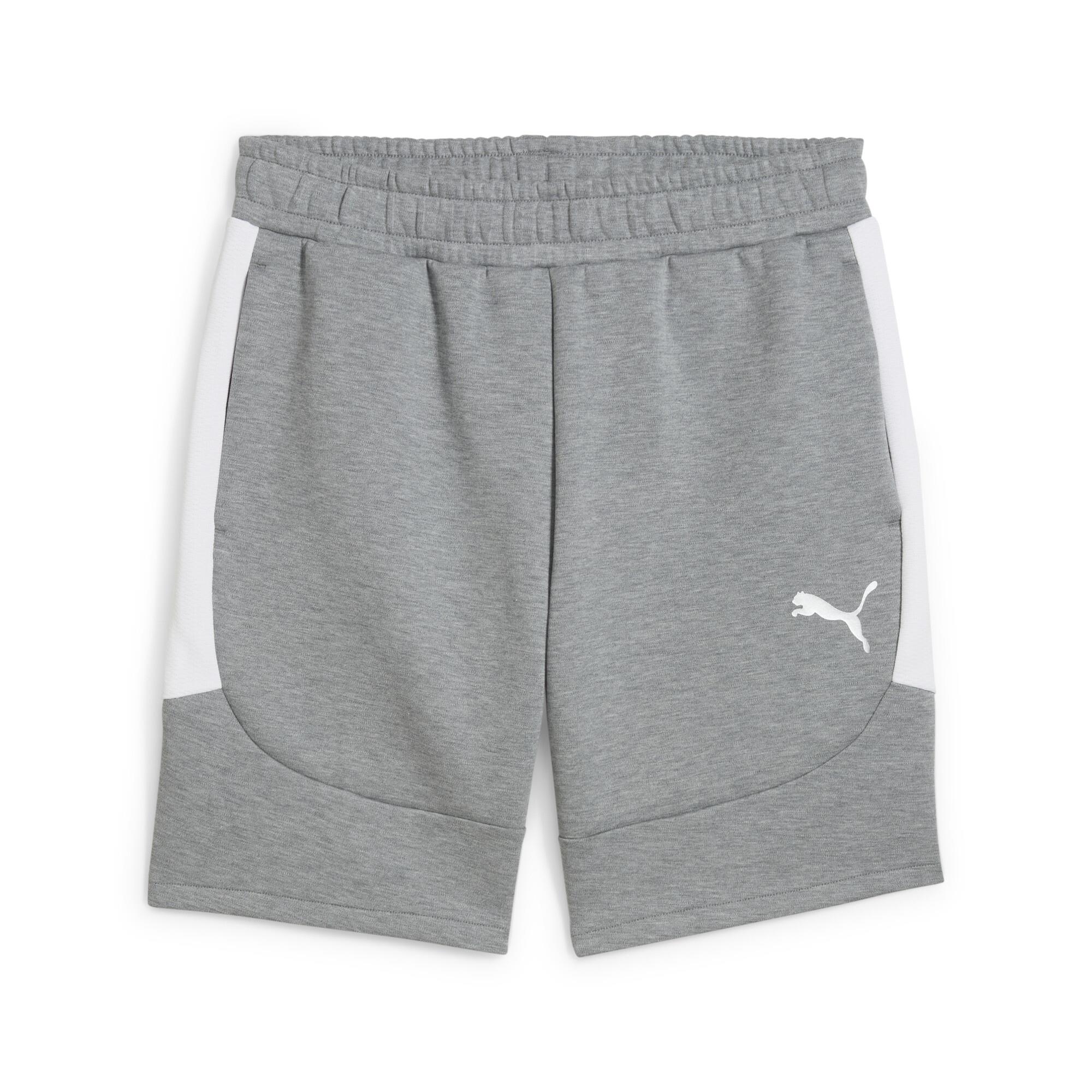 Puma teamEVOSTRIPE Casual Şort 659951-33