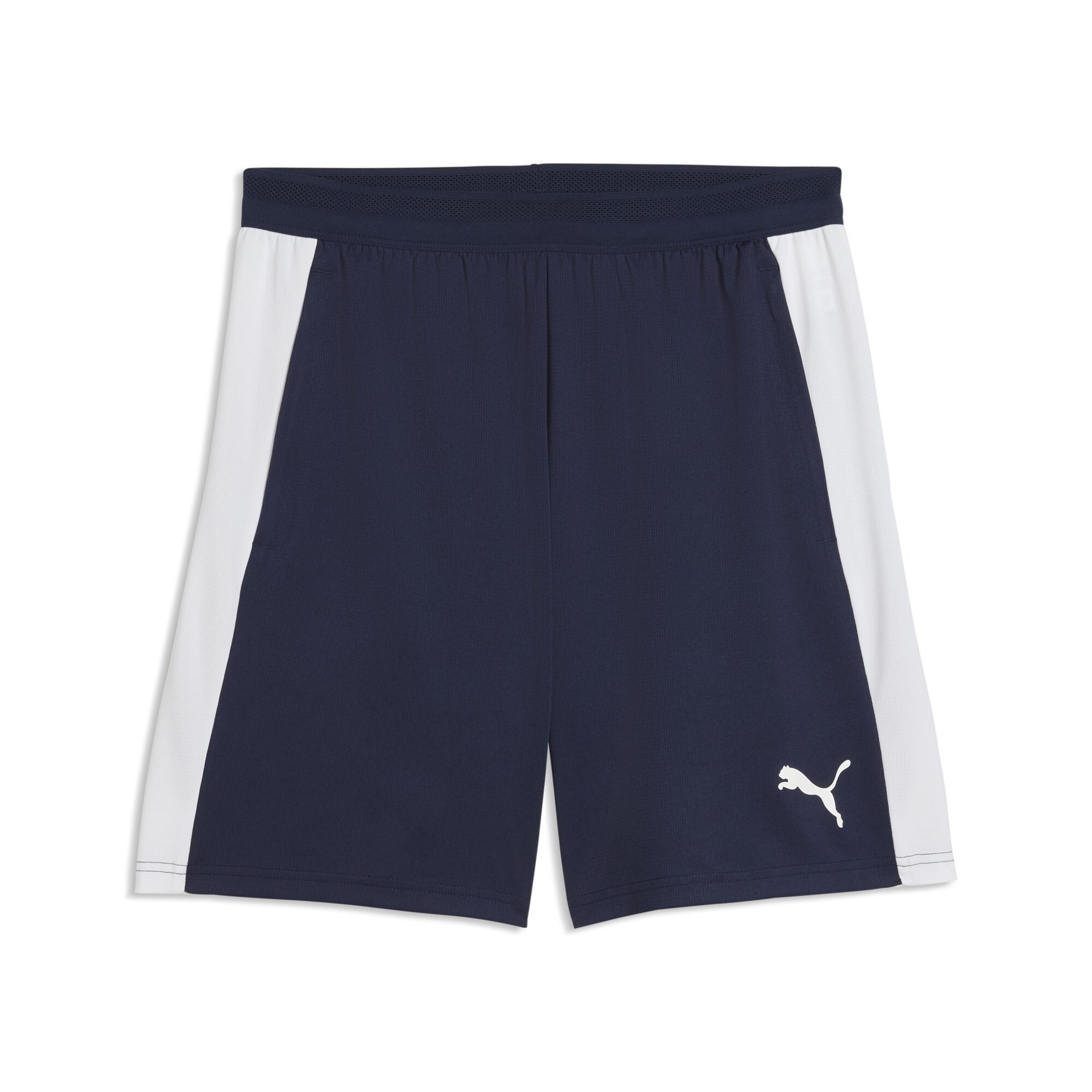 Puma TeamFINAL26 Kamp Cepli Şort 659685-06