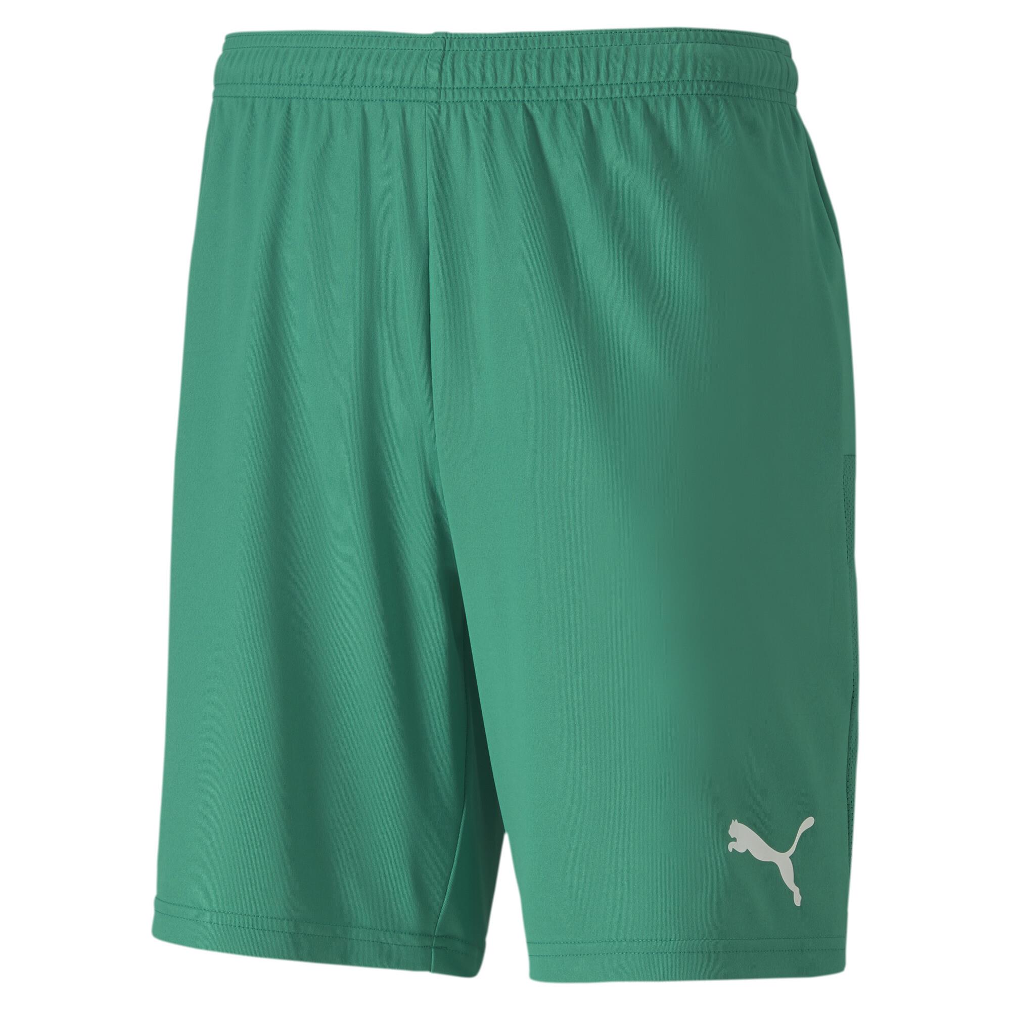 Puma TeamGoal23 Futbol Şort 704262-05