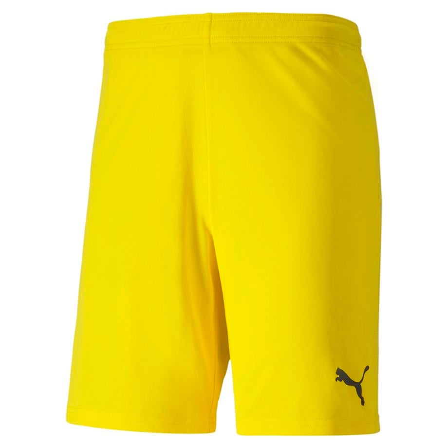 Puma TeamGoal23 Futbol Şort 704262-07