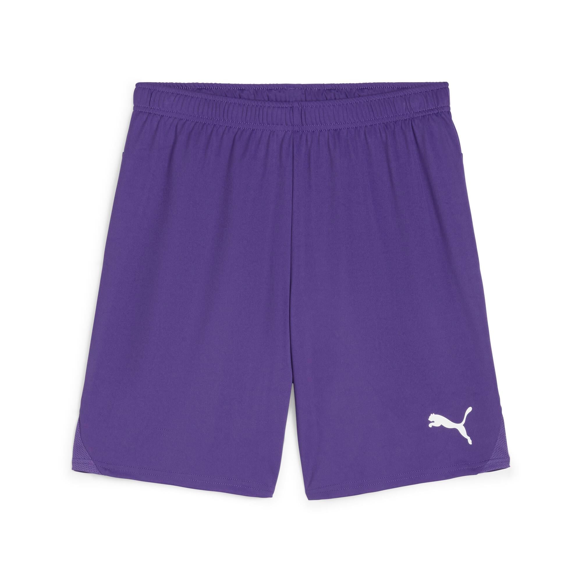 Puma TeamGoal24 Futbol Şort 705752-10
